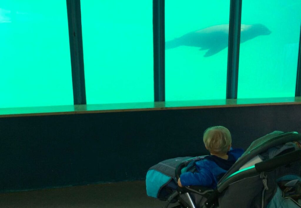 Budapeszt zoo