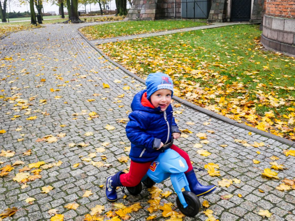 Pomiędzy katedrą a muzeum Chruczek przemieszcza się własnym środkiem transportu.