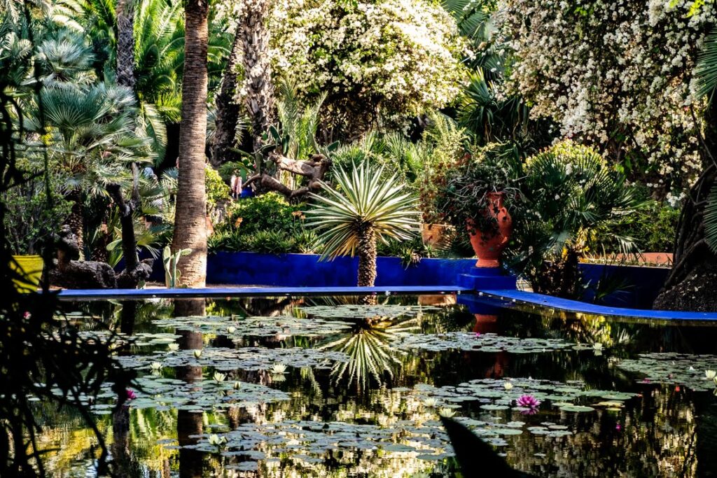 Chwila ciszy i zadumy w ogrodach Majorelle.
