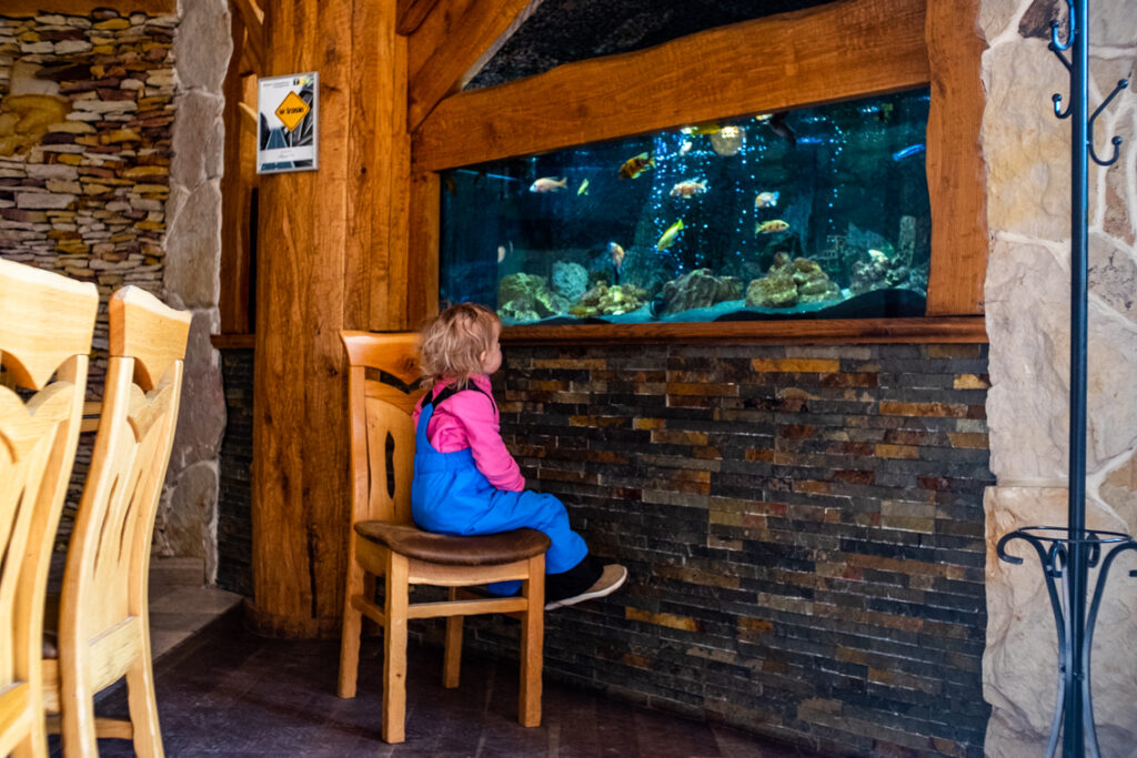 sabat krajno restauracja