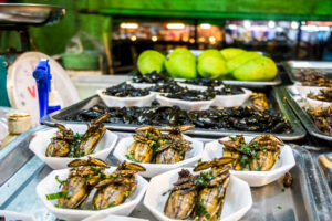 pieczone robaki tajlandia