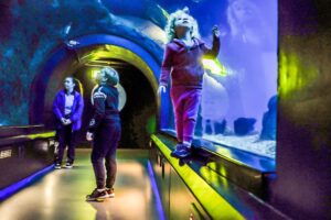 the deep hull