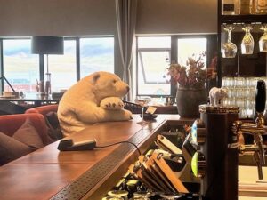 alkohol na svalbardzie – niedźwiedź polarny w barze